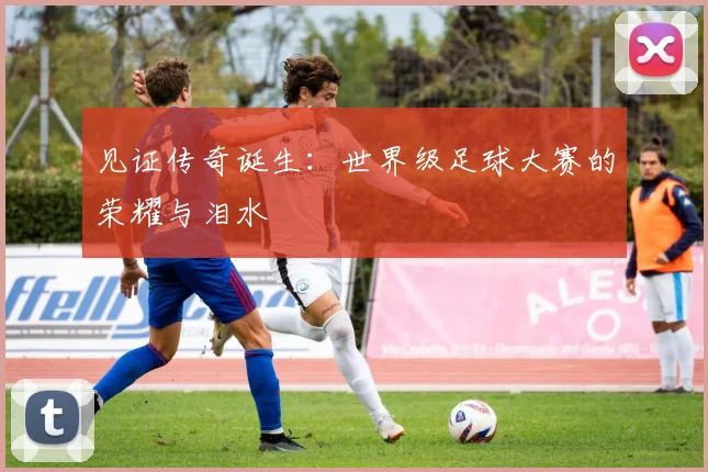 见证传奇诞生:世界级足球大赛的荣耀与泪水