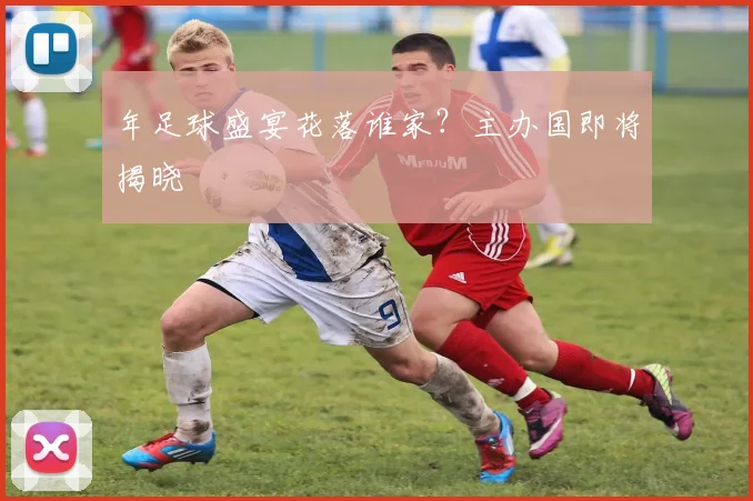 年足球盛宴花落谁家？主办国即将揭晓